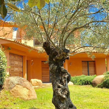 Villa Santa Giulia, Vue Panoramique Sur La Mer, 900 M De La Plage Porto-Vecchio  Luaran gambar